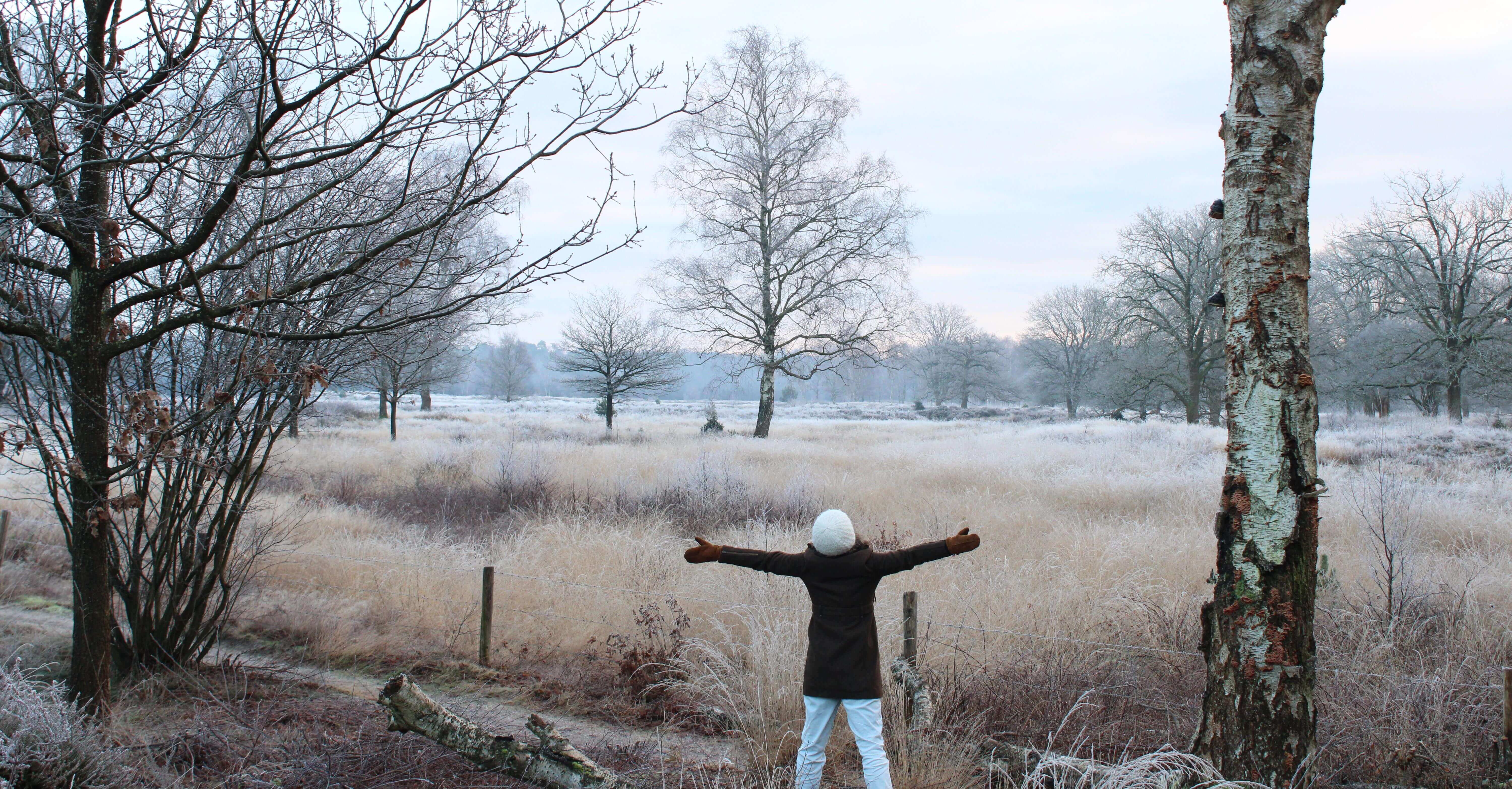 spreading your arms as wings in the forest